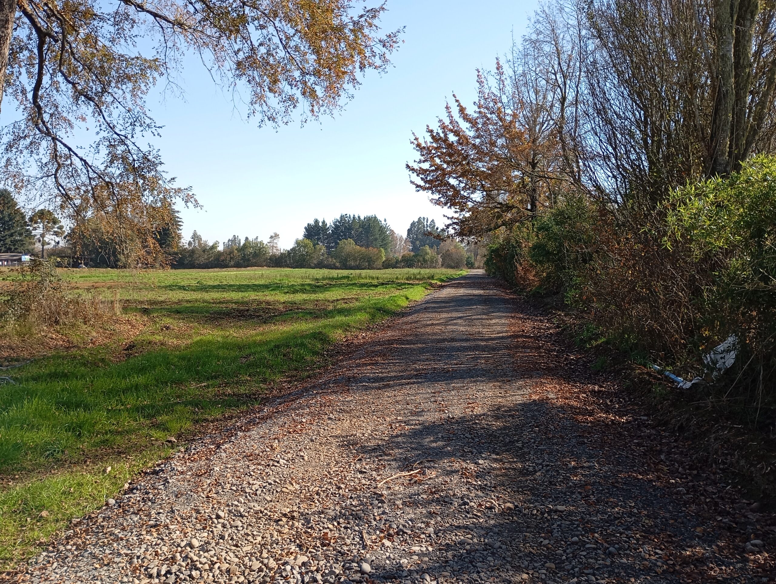 TEMUCO -VENDE -PARCELA AGRICOLA